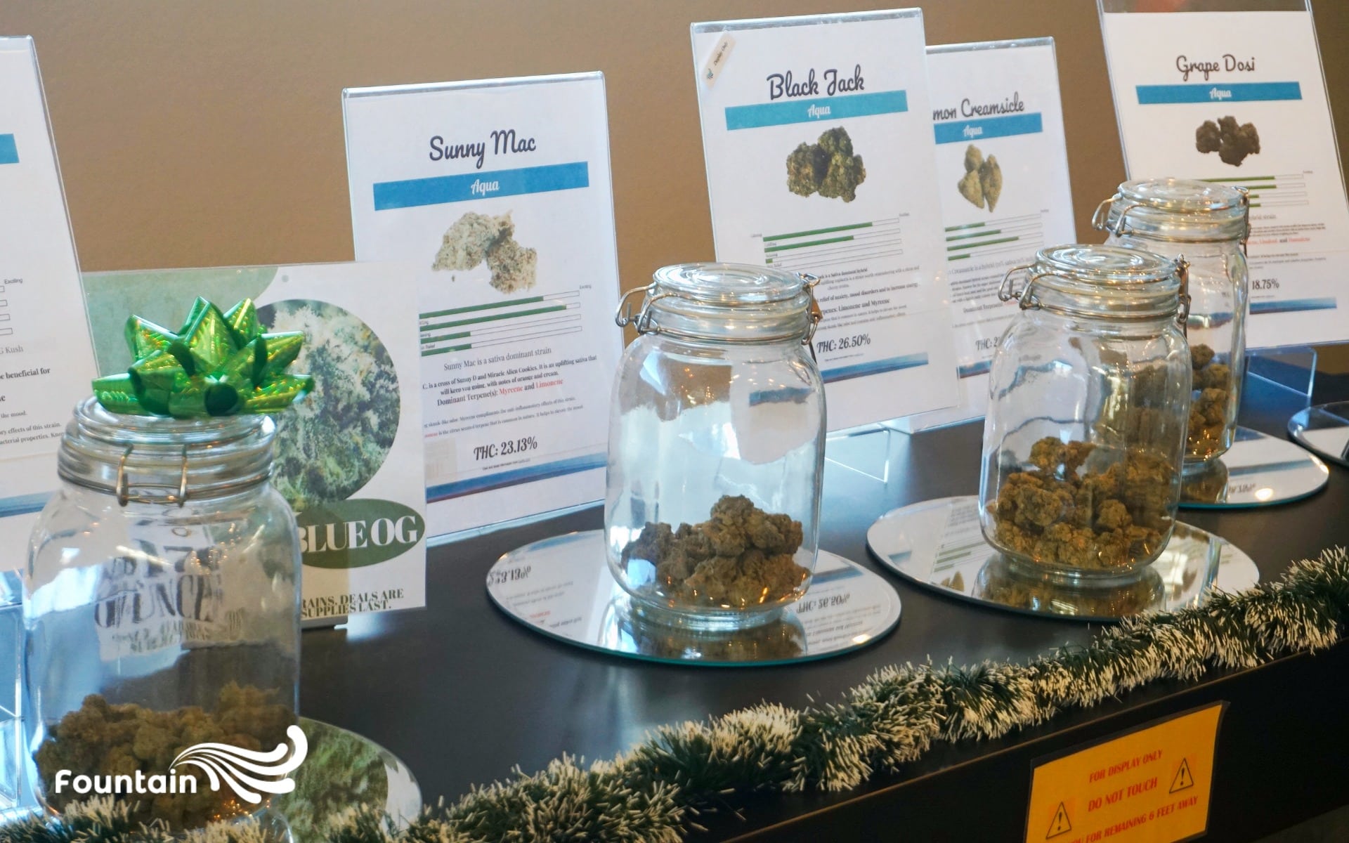 Fountain dispensary display of premium top-shelf flower varieties and cannabis strains.